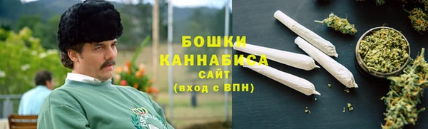 твердый Ельня