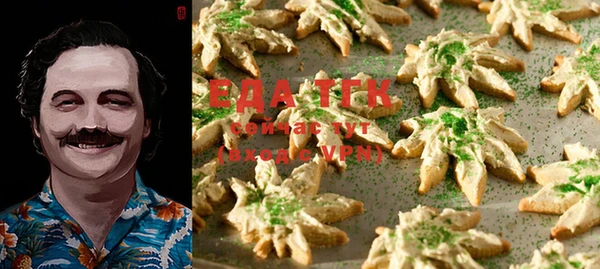 твердый Ельня