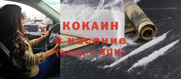 твердый Ельня