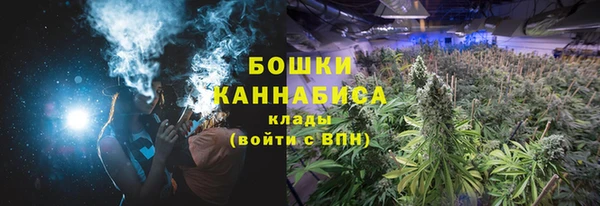 винт Елабуга