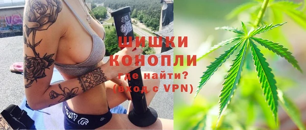 твердый Ельня