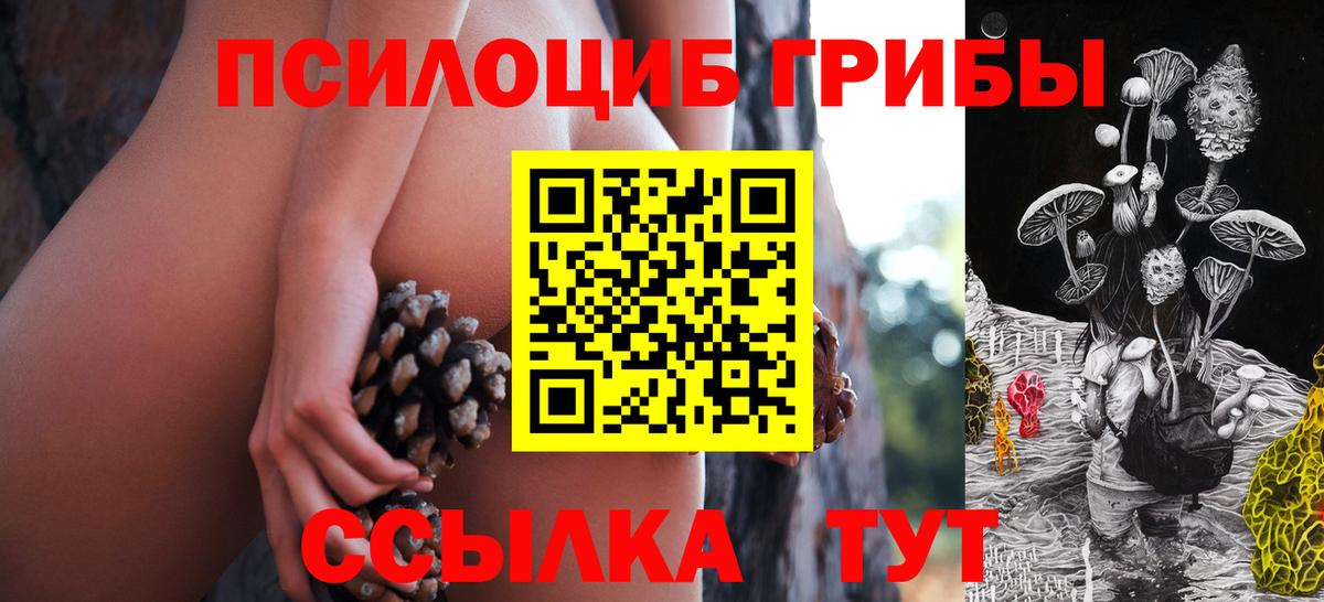 Тобольск  Псилоцибиновые грибы прущие грибы  Вход с VPN  Галлюциногенные грибы ЛСД 