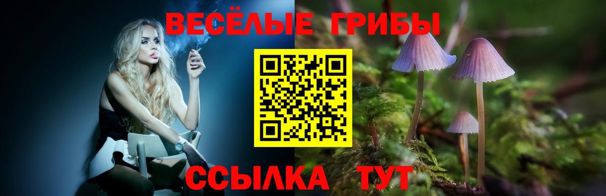 Галлюциногенные грибы мухоморы Тобольск